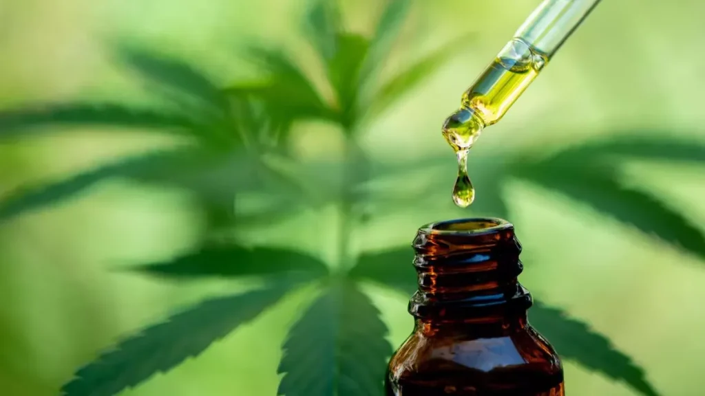 article dosage huile cbd