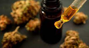 article fréquence consommation cbd