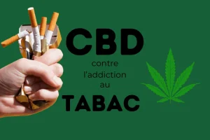 cbd et tabac