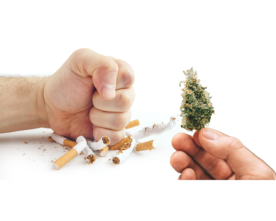 cbd et tabac