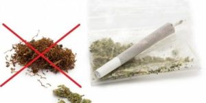 cbd et tabac